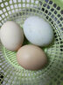 白荡里 鸭蛋 土鸭蛋56g/枚 新鲜鸭蛋农家散养生鸭蛋现捡现发新鲜到家 新鲜土鸭蛋（均重）56g*30枚 实拍图