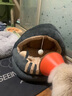 猫咪之家 蒙古包猫窝狗窝四季保暖猫屋封闭式猫垫子小型犬可水洗宠物睡袋 A款蒙古包猫窝 （灰色） 大号（13斤左右） 实拍图