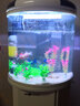 闽江（minjiang）半圆形鱼缸水族箱圆柱型金鱼缸客厅生态造景免换水锦鲤乌龟缸 纯白色+礼包+造景+升级过滤 BY460（鱼缸+储物柜子） 实拍图
