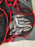 丹尼富（Dlyfull）竿稍灯RT70-S 咬钩变色筏竿远投海竿抛竿夜钓夜光棒 RT70-S（智能款） 实拍图