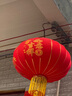 祥福缘灯笼新年装饰品大红灯笼灯植绒布婚庆节庆大门led灯春节年货节 1对装+年年有余120#+灯+ 66cm 实拍图