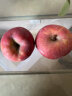 寻天果蔬 新疆阿克苏冰糖心苹果 红富士苹果脆甜爽口 9斤 小果75mm以下 实拍图