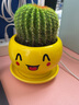 昊兰诺金冠仙人球【多头金丝猴】仙人掌 多肉植物 办公室  小盆栽 金冠仙人球+可爱花盆 含盆 实拍图