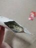 歌瑞贝儿（GreatBaby）酸奶溶豆18g/盒 儿童零食 乐友 18g 1盒 原味 实拍图