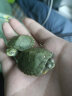 易萌 黄金巴西龟活物炫彩龟小乌龟活体宠物龟半水龟招财龟草龟活体龟 2-3厘米两只 实拍图