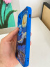 X-IT 【梵高油画】苹果15 手机壳iPhone14ProMax保护套镜头男女款全包艺术硅胶 油画风【克莱因-星月夜】 iPhone 12 实拍图