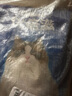 优倍滋猫粮 成猫幼猫全价全期猫粮英短美短通用 海洋鱼味10kg 实拍图