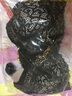 古今（GUJIN）【商场同款】内衣女性感优雅蕾丝花边舒适聚拢侧收文胸罩薄款 黑色 80B 实拍图