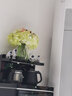 茶吧机电茶炉专用水壶1.2升大号电热烧水壶茶盘水壶单个水壶配件壶茶吧机玻璃保温泡茶壶乐叙 304防烫壶（四环）黑色 实拍图