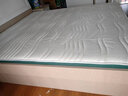 富安娜床垫 山棕椰棕床垫硬 乳胶床垫 三重防螨抑菌榻榻米床垫 山棕+乳胶-8cm厚 180*200 实拍图