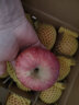 沙窝曙光陕西洛川红富士苹果水果新鲜脆甜冰糖心时令应季丑苹果水果礼盒 爆卖9.5斤75-80mm（净重8.5斤） 晒单实拍图