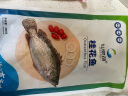 仙泉湖三去桂花鱼 400g*1条 净膛冷冻鳜鱼无细刺海鲜水产食材 实拍图