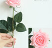 花艺赫家饰手感保湿仿真玫瑰花装饰花干花客厅装饰摆设仿真花束假花餐桌摆件 粉色手感如雪角玫【5支】 实拍图