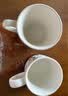 优保茶垢清洁剂洗杯子去茶渍除垢剂茶杯茶具奶茶店清洗剂免刷洗咖啡渍 【升级款】180g1瓶 实拍图