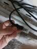 山泽 六类网线 CAT6类千兆高速网络跳线 八芯双绞非屏蔽成品网线电脑宽带工程家用监控宿舍网络连接线 六类千兆-家装工程款 40米 实拍图
