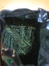 打鼓岭茶叶绿茶 正宗黄山毛峰春茶可做礼品(新老包装交替)茶叶自己喝 镇店爆款200克送礼袋(有效期约9个月) 实拍图