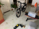 凤凰（Phoenix）新国标电动自行车锂电池助力车山地自行车男女士单车成人电瓶车 699一体轮21速灰色-电动续航40km 实拍图