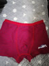 恒源祥儿童内裤男童本命年大红裤平角裤中大童学生鸿运四角裤3条装 男童大白鲨 165建议身高155-165体重75-85斤 实拍图