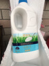 蒙牛自然风味酸奶1.1kg 水果捞用原味酸奶 大桶装 原味酸奶*1桶(保温箱+冰袋) 实拍图