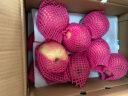 京鲜生烟台红富士苹果5kg一级大果 单果220g以上 水果礼盒 实拍图