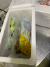 千牛优福新鲜生菜组合4斤球生菜红叶等6种沙拉蔬菜轻食蔬菜包 150g*3袋【6包酱+玉米粒】 实拍图