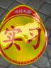 威曼斯新手上路车贴磁吸反光贴女司机实习标志磁性汽车贴纸个性创意搞笑 【磁吸强反光】叮当猫-新手上路 实拍图