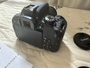 佳能（Canon） 850D 800D升级款新款单反相机 入门单反相机高清4K摄像800D 850D 反转屏可触摸支持无线传输照片 佳能800D+18-55标准镜头套机 套餐1：32G卡+钢化膜+延保 实拍图