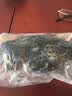 蝶岛船说 东山岛冷冻石斑鱼 深海龙胆石斑鱼 海捕珍珠斑 海鲜水产 【石斑鱼两条】每条500-600g 实拍图
