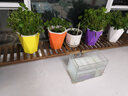 华观家居（Home Giving Furniture）凳子实木花架客厅花盆简约现代阳台木制阶梯多肉绿箩植物组合花架 100小号 实拍图
