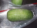 鸢语山东迷你小冬瓜 完整发货 新鲜小冬瓜 新鲜蔬菜 火锅食材  小冬瓜净重 4.5斤 实拍图
