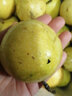 卡布诺海南黄金百香果甜种钦蜜9号黄色百香果特大鸡蛋果新鲜应季水果 1斤小果尝鲜装 实拍图