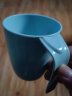 茶花塑料糖果色漱口杯创意斜柄圆润刷牙杯纯色加厚刷牙杯 蓝色1个 实拍图