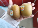 佳沛（zespri）新西兰阳光金奇异果16粒礼盒经典果单果约80-103g水果 猕猴桃 实拍图