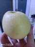四叔公果蔬（现摘现发）黄金奶油富士苹果 山东烟台栖霞金富士孕妇 当季水果 精选中大果 5斤 实拍图