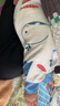 七彩博士婴儿分腿睡袋夏季超薄恒温棉保暖儿童防踢被子可脱袖宝宝防着凉 可可鲸鱼-竹棉薄款（春季） S（80码） 实拍图