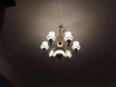 羽良 欧式客厅吊灯奢华大气水晶灯简欧餐厅灯锌合金酒店别墅灯具套餐 6头-三色灯泡 实拍图