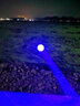 金诚顶点北京B900钓鱼灯大功率夜钓灯黑坑激光镭射炮超亮变焦野钓疝气灯 B900S高亮款 单灯套餐 实拍图