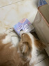 嬉皮狗狗狗尿不湿公狗纸尿裤超薄狗狗生理裤小型犬泰迪柯基金毛中大型犬 女宝L（建议体重15-32斤） 实拍图