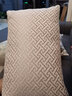 居八佰 奢华提花抱枕欧式客厅沙发靠垫床头靠枕办公室腰枕汽车靠背垫 米色工字（雪尼尔提花） 30*50cm腰枕套+枕芯 实拍图