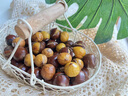 鲜合作（XIANHEZUO）【顺丰发货】2025年现摘福建特产建瓯高山锥栗圆尖油栗子新鲜板栗 实拍图