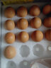 葛溪正太年货鲜鸡蛋 无激无抗 早餐 营养鸡蛋  农场直供10枚/45-50g/枚 实拍图