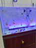 CRAZY PLANT鱼缸灯led灯防水可调色造景射灯纳米气泡条潜水灯增氧照明一体 14.5cm 七彩渐变色款(适合20-30CM) 实拍图