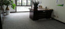 J Carpet地毯办公室地毯方块拼接满铺房间客厅家用商用公司pvc大面积 901浅灰色 4片装  50*50cm/片 实拍图