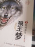 沈石溪动物小说大画本 全5册 狼王梦 奇趣的动物传奇世界 自然界优胜劣汰 自然法则 中小学生课外阅读 实拍图