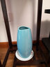 豫之韵 现代简约摆件陶瓷花瓶餐桌装饰品客厅插花干花水培餐桌花器花艺   不含绿植 蓝色大号鹅蛋陶瓷花瓶 实拍图
