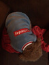 拉维佩特（LOVINGPET）泰迪狗狗衣服冬天 羊羔绒宠物衣服小型犬冬季比熊衣服幼犬猫衣服 蓝灰色 L 建议10-12斤 实拍图