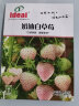 IDEAL理想农业 草莓种子室内四季种植水果种子奶油白草莓种子500粒*1袋 实拍图