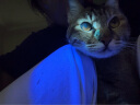 神鱼（SHENYU）伍德氏灯猫藓荧光检测UV黑镜紫光灯紫外线365nm手电筒照猫尿真菌 实拍图