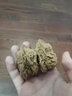 盘道 文玩花生核桃 原桩未修 文玩麻核桃野生异形花生手把件随身把玩 核桃手把件一对 花生核桃41-42mm 实拍图