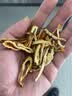 音朗 黄苦荞茶 全胚芽全颗粒荞麦 四川大凉山黄金苦荞茶罐装230g 实拍图